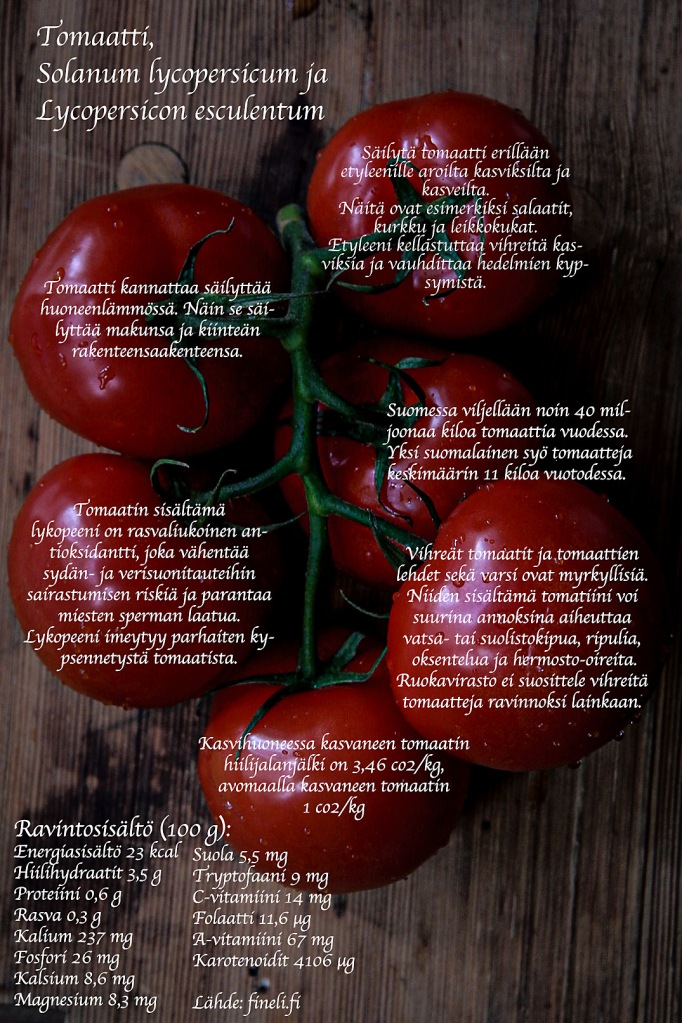 Tomaatti, Lycopersicon esculentum